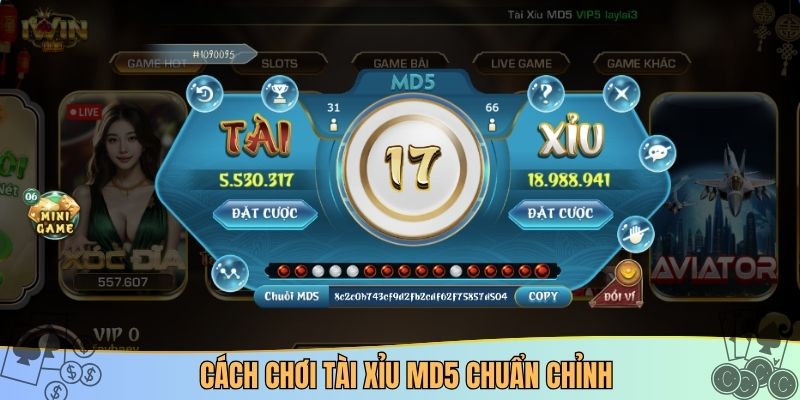 Cách chơi tài xỉu MD5 chuẩn chỉnh