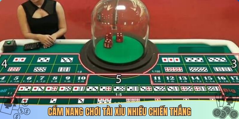 Cẩm nang chơi tài xỉu nhiều chiến thắng